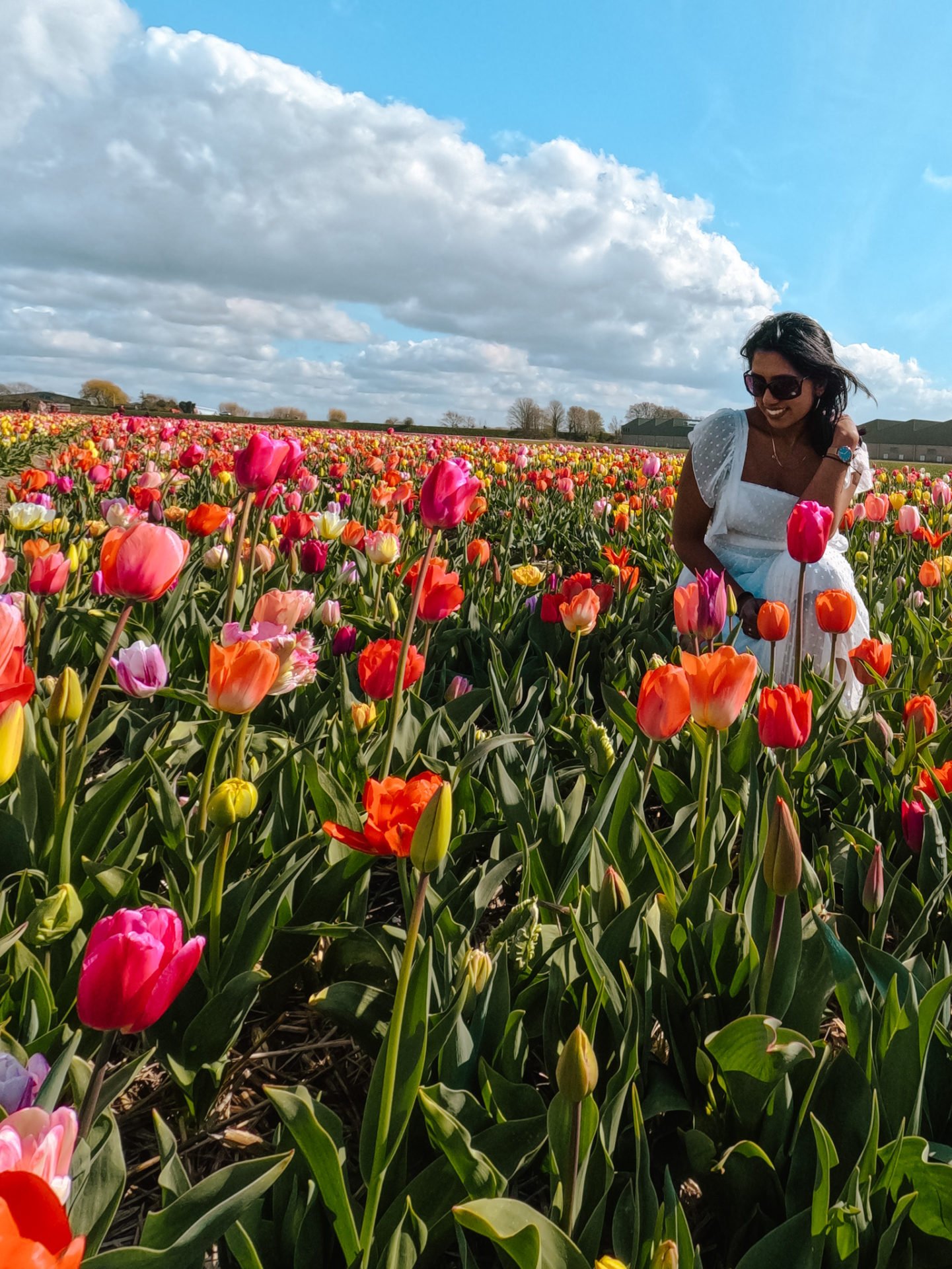 How to See Colorful Tulips in the Netherlands in Spring