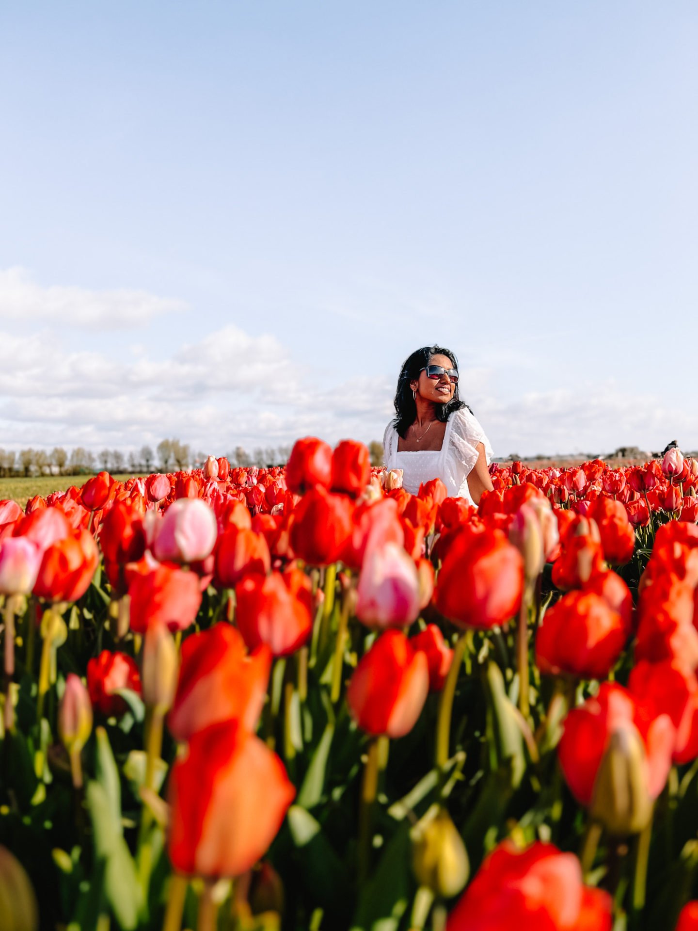 How to See Colorful Tulips in the Netherlands in Spring