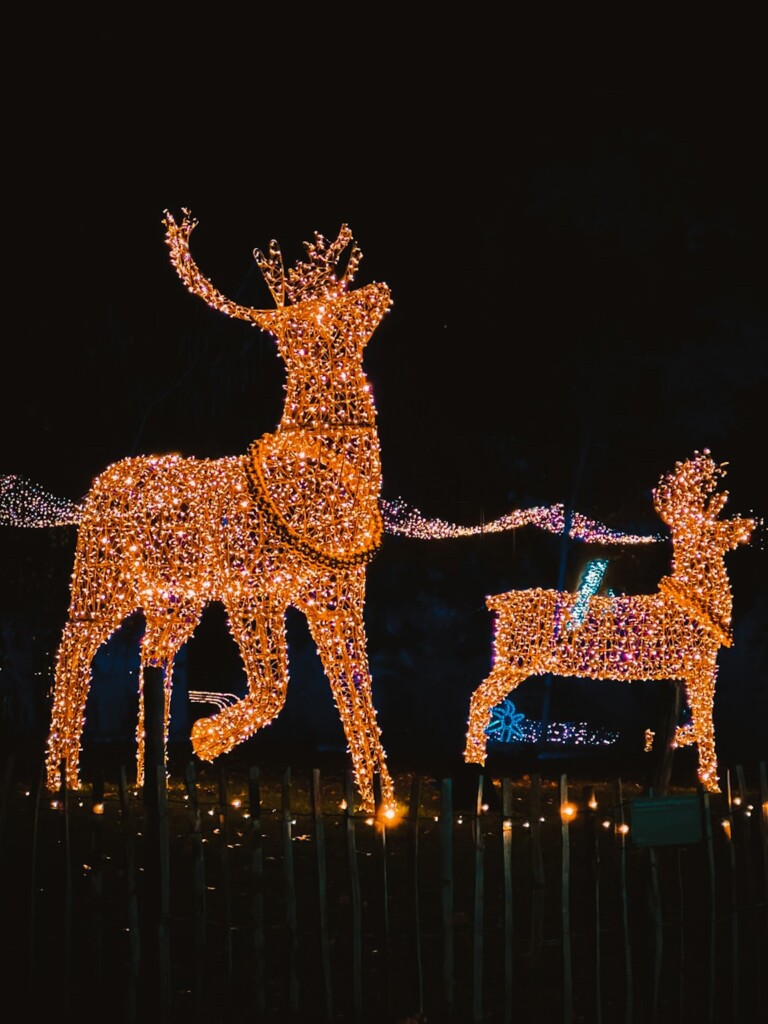 The reindeer decorations in Rathausplatz Christkindlmarkt in Vienna.