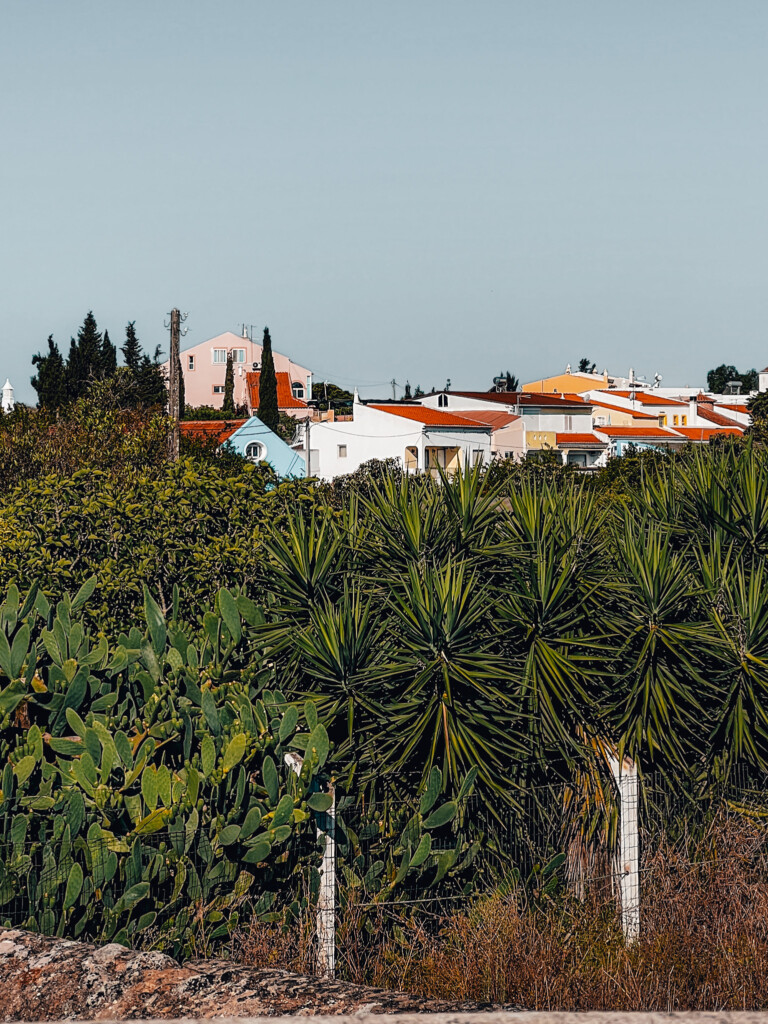A few buildings near Estombar Lagoa train station in Lagoa, Algarve.