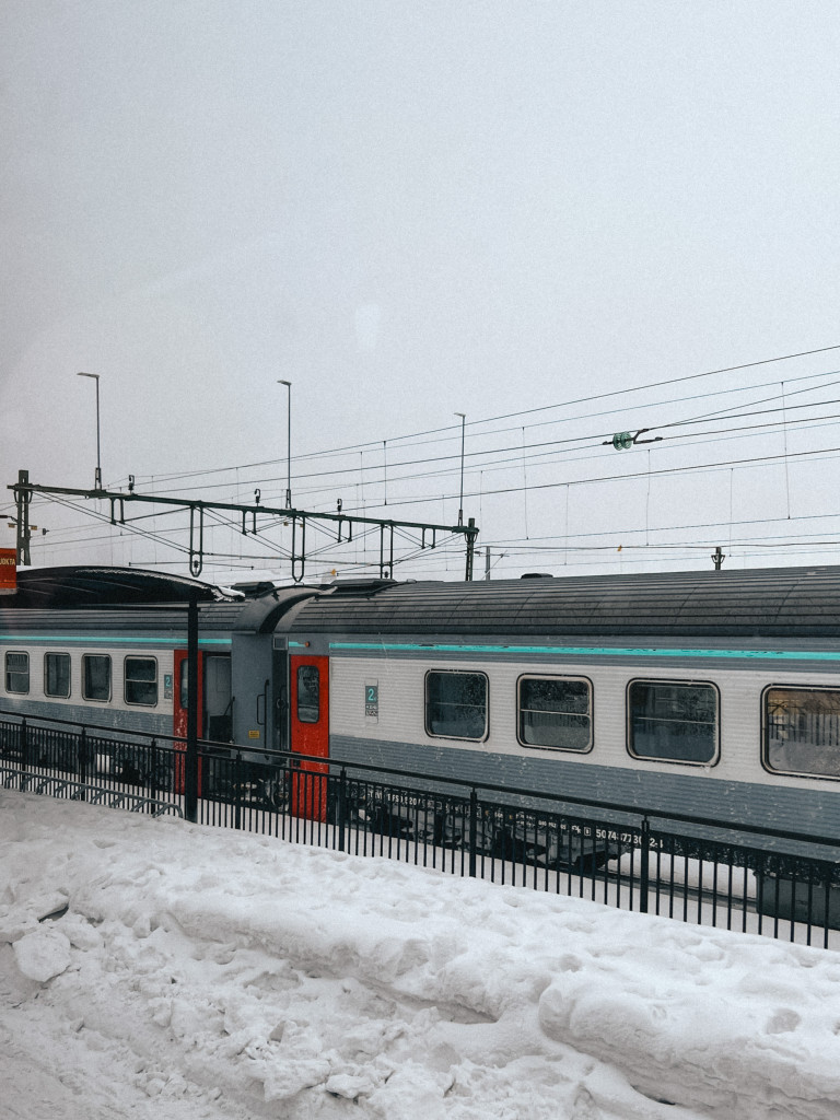 The train from Stockholm to Abisko.